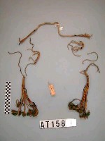 藏品(男子刀帶)的圖片